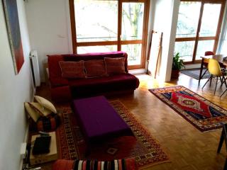 Sunny Private Bedrooms in Peaceful Shared Flat near Bois de Vincennes - Fontenay-sous-Bois - 6