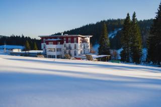 Das Waldhotel - Genuss & Wellness am Notschreipass - Todtnau - 9