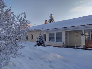 Villa Snowflake - Rovaniemi - 3