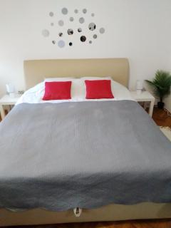 Astra apartman - Vračar (historical) - 4