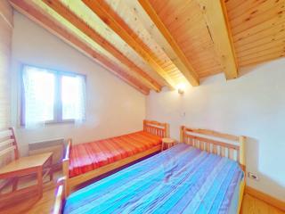 Chalet spacieux 4 pièces en forêt - Les Saisies - FR-1-594-42 - 2