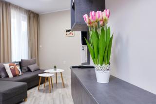 Cozy 1-bed Apartment 2 - 6