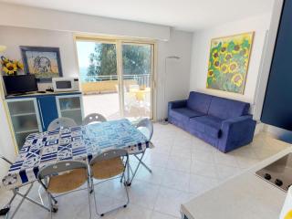 Petit 3P avec terrasse, piscine et garage - FR-1-196-193 - Menton - 1