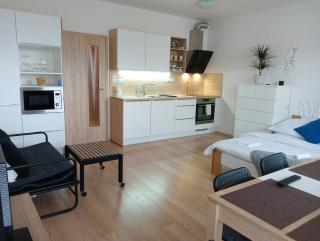 Apartman Bystrc - Brno - 8