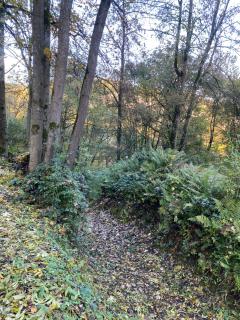 Domaine du Bonsoy--Azur - Blaimont - 5