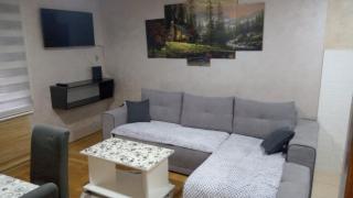 Apartman Dinić Zlatibor - Zlatibor - 7