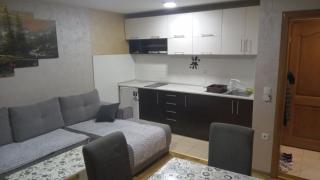 Apartman Dinić Zlatibor - Zlatibor - 2