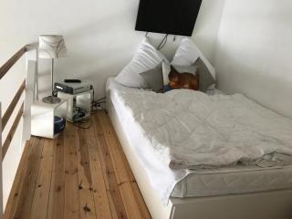 Ferienwohnung Felix Braunlage - Braunlage - 3