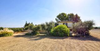 Ribas - Santa Margarita - 2