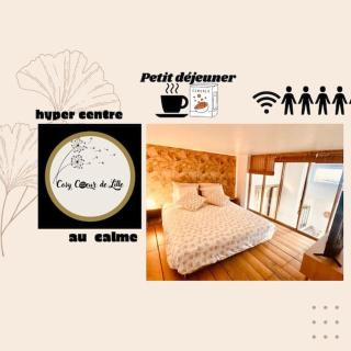 Cosy Cœur de Lille - Lille - 0
