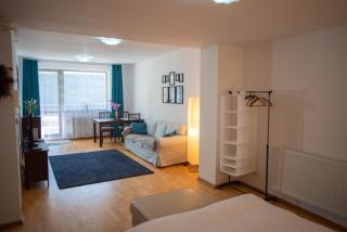 Blue Forest Studio - Sinaia - 3