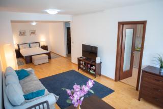 Blue Forest Studio - Sinaia - 4