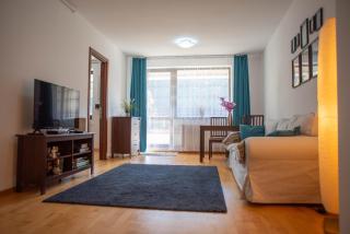 Blue Forest Studio - Sinaia - 1