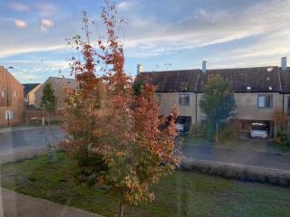 Homely, Cosy & Contemporary 4 BDR house with Garden & Parking 5 mins drive to Addenbrookes & Papworth hospitals & Bio Medical campus - Cambridge - 7