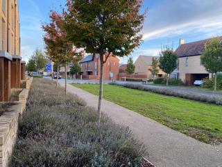 Homely, Cosy & Contemporary 4 BDR house with Garden & Parking 5 mins drive to Addenbrookes & Papworth hospitals & Bio Medical campus - 0