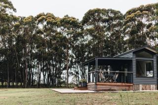 Wildernest - - 8
