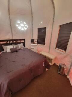 Crazy Horse - APT 1 - Kanab - 9