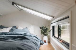 Wildernest - - 5