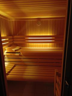 Villa 275 qm, 2 Guest Favorit ,Pool,Sauna, chimney, garden, free Parking,24h check in,vip Shuttle service - Hannover - 1