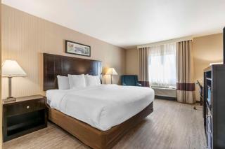 Comfort Inn Troutdale-Portland East - Troutdale - 3