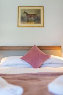 Butterwick - Barn Conversion with a hot tub on a Country Estate - - 2