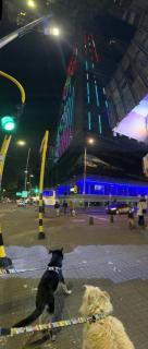 Bogotá Apartamento en Torre Barcelona Ve Monserrate lado the Spotty - 3