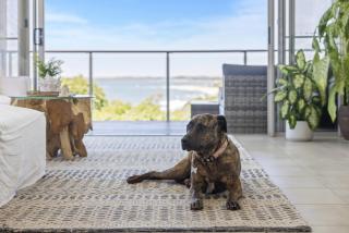 Ziggy's - Woolgoolga - 7