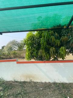 Mango Mist Farm Stay - Tuljapur - 6