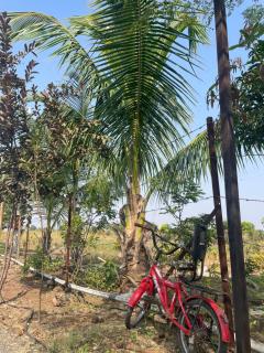 Mango Mist Farm Stay - Tuljapur - 8