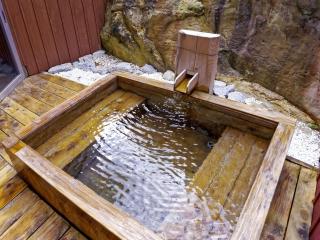 Ooedo Onsen Monogatari Premium Shirahama Saichoraku - Shirahama - 4