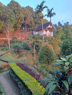 Garden Terrace Bali - Gobleg - 5