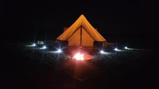 Two Little Piggies Glamping - - 2