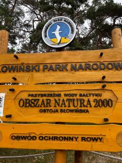 A&R Brzozowa 5 - Rowy - 6
