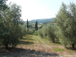 Agriturismo Da Lorena - Marsiliana - 1
