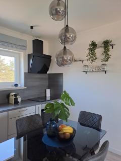 New apartment ViVaNo V I D with amazing view - Zambratija - 8