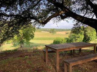 Stunning rural gem with pool in southwest France - - 5
