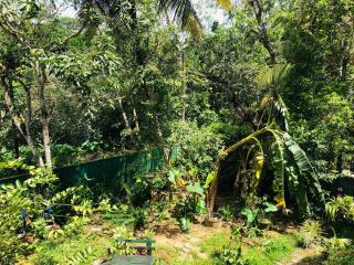MarvelMansion hostel - Galle - 9