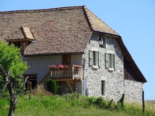 Gîte de charme : La grange au lac Azur - Treffort - 9