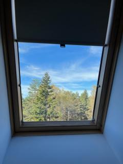 Apartman Lara - Divčigora - Divčibare - 2