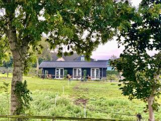 B&B De Donk - Brandwijk - 9