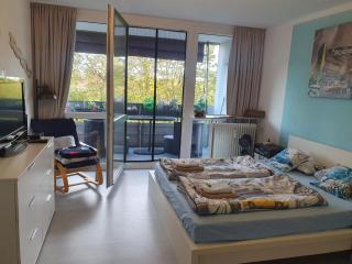 Apartment Ferienwohnung modern nähe Altstadt Landshut - Landshut - 9