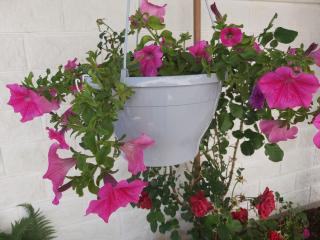 Studio Apartment in Hvar Town with Balcony, Air Conditioning, Wi-Fi, Dishwasher (4858-1) - Hvar - 8