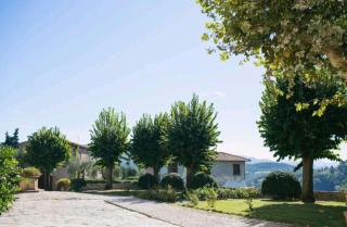 Nuvola - Villa Cenami - grande PISCINA con vista - Massarosa - 1