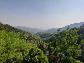The Forest View by DL Hotels and Resorts - Mussoorie - 1