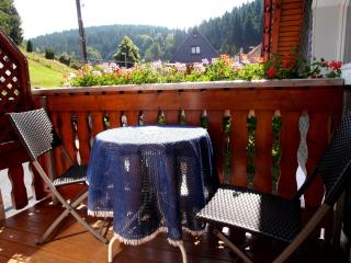 Ferienhaus Barbara - Masserberg - 5