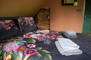 BoHo Experience Summerhouse - 7