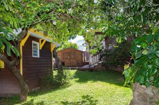 Le Cerisier côtelé - Saint-Joseph - 8