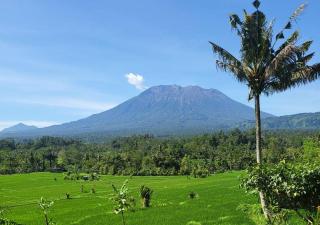 The Nude House - Selat - 1