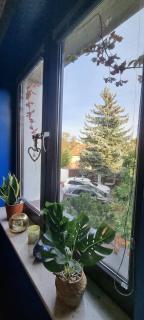 Emerald Spa Guest house - 5