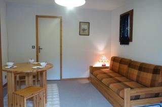 Appartement pied des pistes, 4 personnes, 1 coin montagne - PL1H - Beaufort - 9